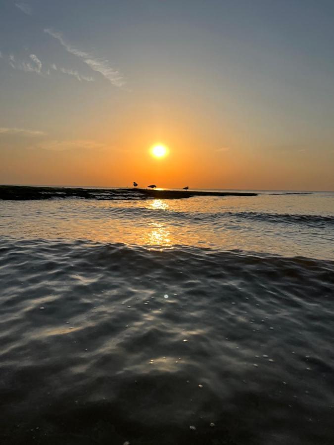 Bungalow De Strandjutter 8 Persons ميدل كيرك المظهر الخارجي الصورة