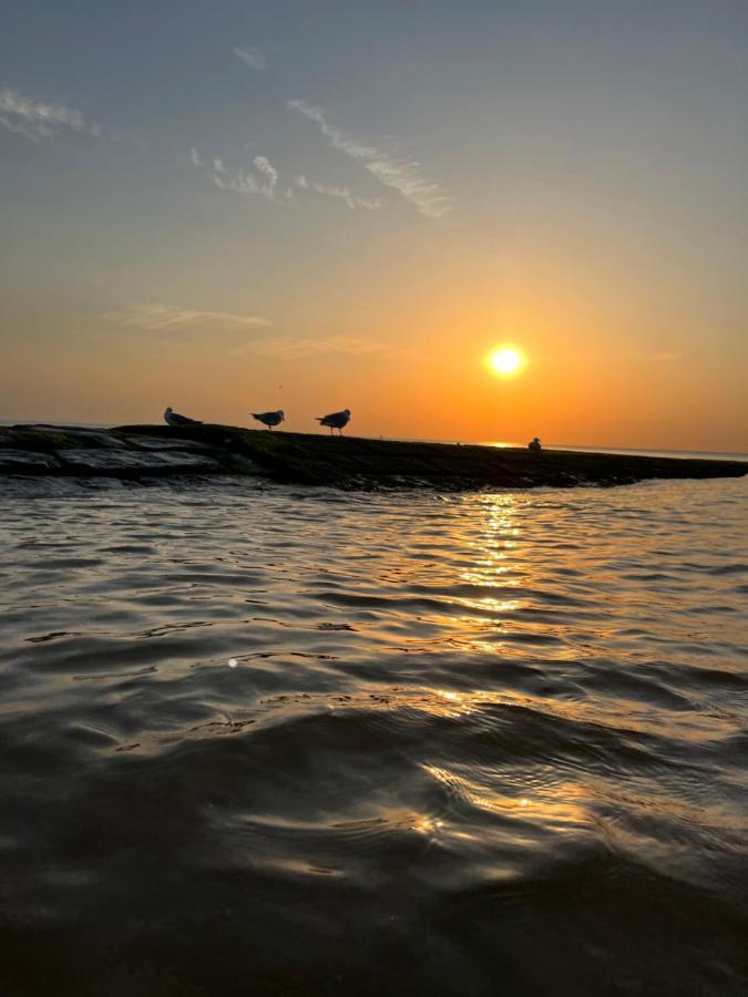 Bungalow De Strandjutter 8 Persons ميدل كيرك المظهر الخارجي الصورة